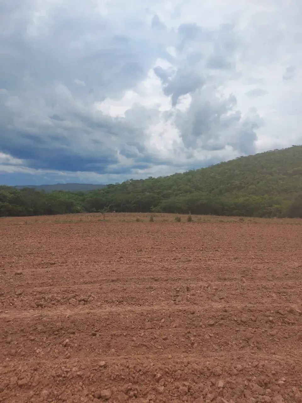 Vendo fazenda com 173 hectares na região de BONFINOPOLIS  próximo a Unai MG - Foto 12
