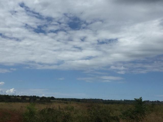 FAZENDA A VENDA EM MATO GROSSO (Dupla Aptidão) - Foto 18