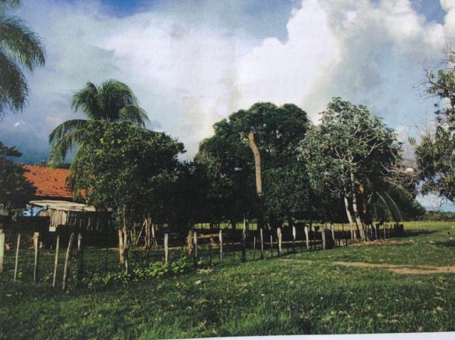 FAZENDA A VENDA NO PANTANAL MS (Pecuária) - Foto 5