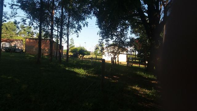 215A/Fazenda de 485 ha com outorga para irrigação às margens do Rio São Francisco - Foto 5
