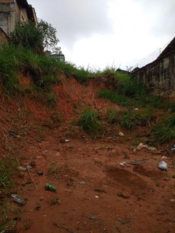 Lote 300,00M² no Bairro Caiçara - Foto 3