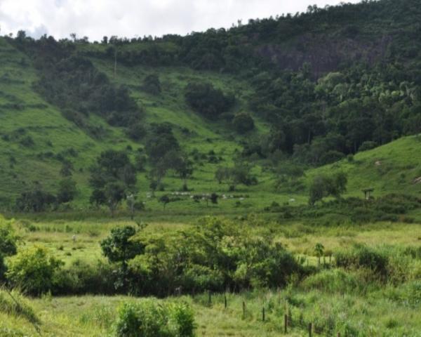 FAZENDA A VENDA EM MINAS GERAIS TEÓFILO OTONI PECUÁRIA CRIA RECRIA ENGORDA CONFINAMENTO (4 - Foto 4
