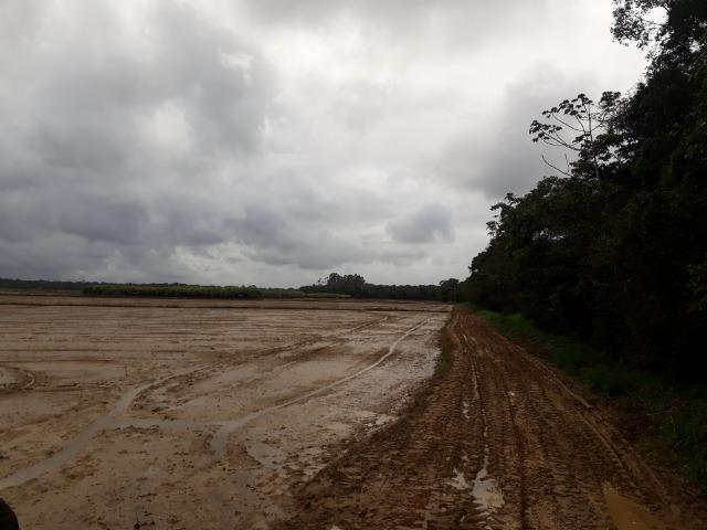 Fazenda Linda para Plantio de Arroz, Aceita parte Parcelado - Foto 8