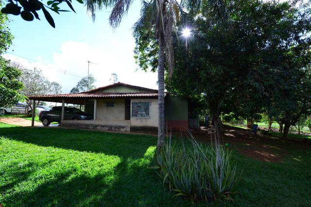 Chácara 1,5 alqueires município Morrinhos - Foto 13