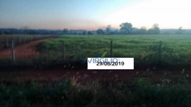 Área à venda, 290400 m² por R$ 1.200.000,00 - Zona Rural - Nazario/GO - Foto 6