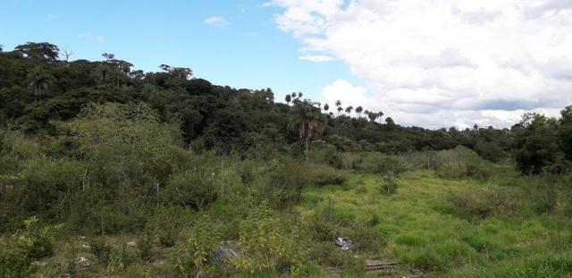 Oportunidade - Terreno para loteamento (25 lotes 500m2) - Foto 3