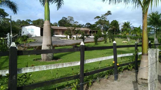 Fazenda - Foto 7