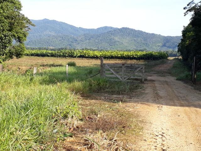 Fazenda Linda para Plantio de Arroz, Aceita parte Parcelado - Foto 13