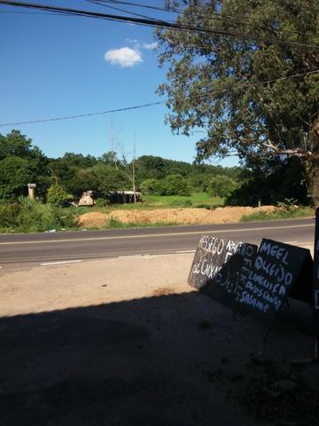 Área com 30, 60, 80 metro de frente para o asfalto entra três meninas e Gedeon leite - Foto 6