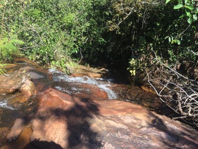 100 Alq. Planta 20 Vermelha Formada Montada Represa na Porta Iporá GO - Foto 17