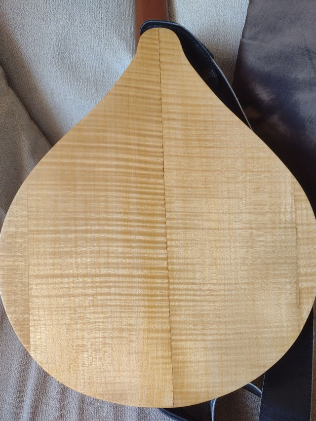 Bouzouki irlandês elétrico (de Luthier, com case, todo maciço ) - Foto 3