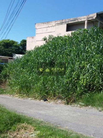 Terreno a venda em Braz de Pina