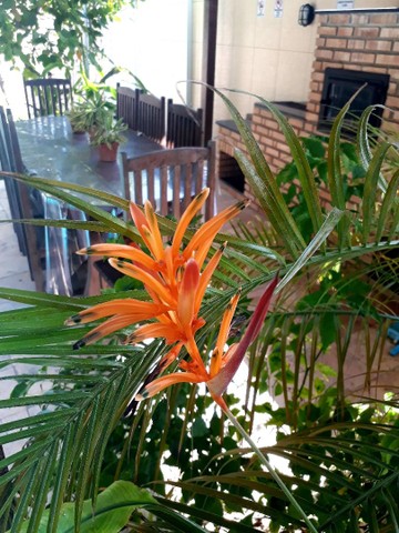 Casa na Atalaia Nova para Temporada e Finais de Semana (12X CARTÃO DE CRÉDITO)  - Foto 4