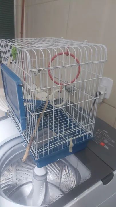 Gaiola para pássaros