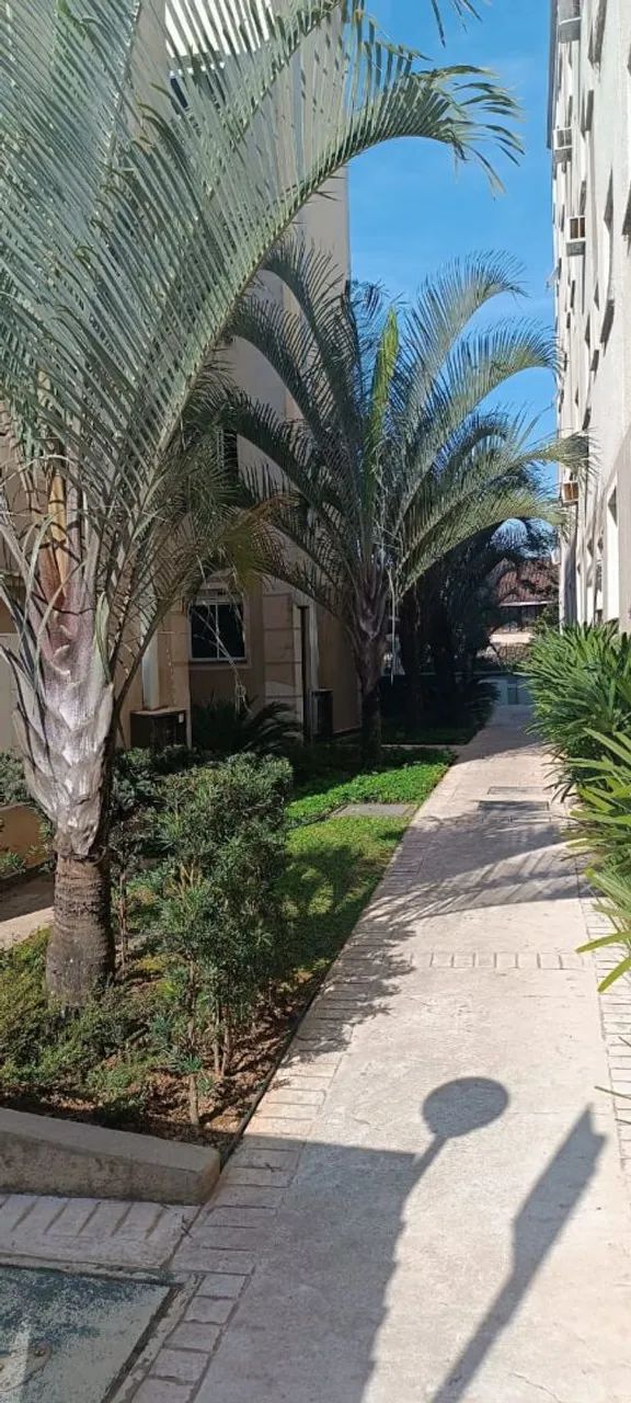 Foto - Joinville - Paranaguamirim