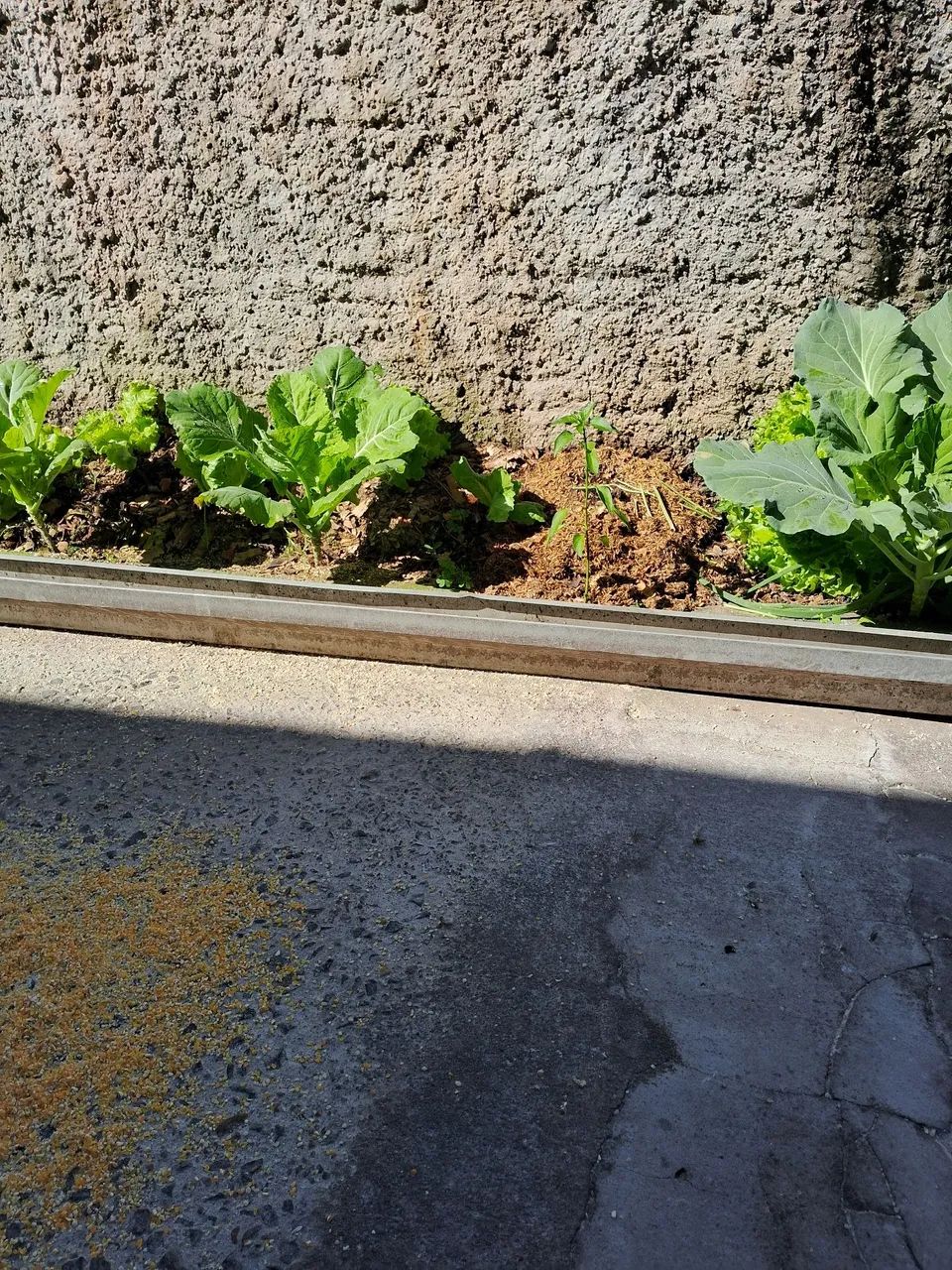 Gutter64419089877251125
