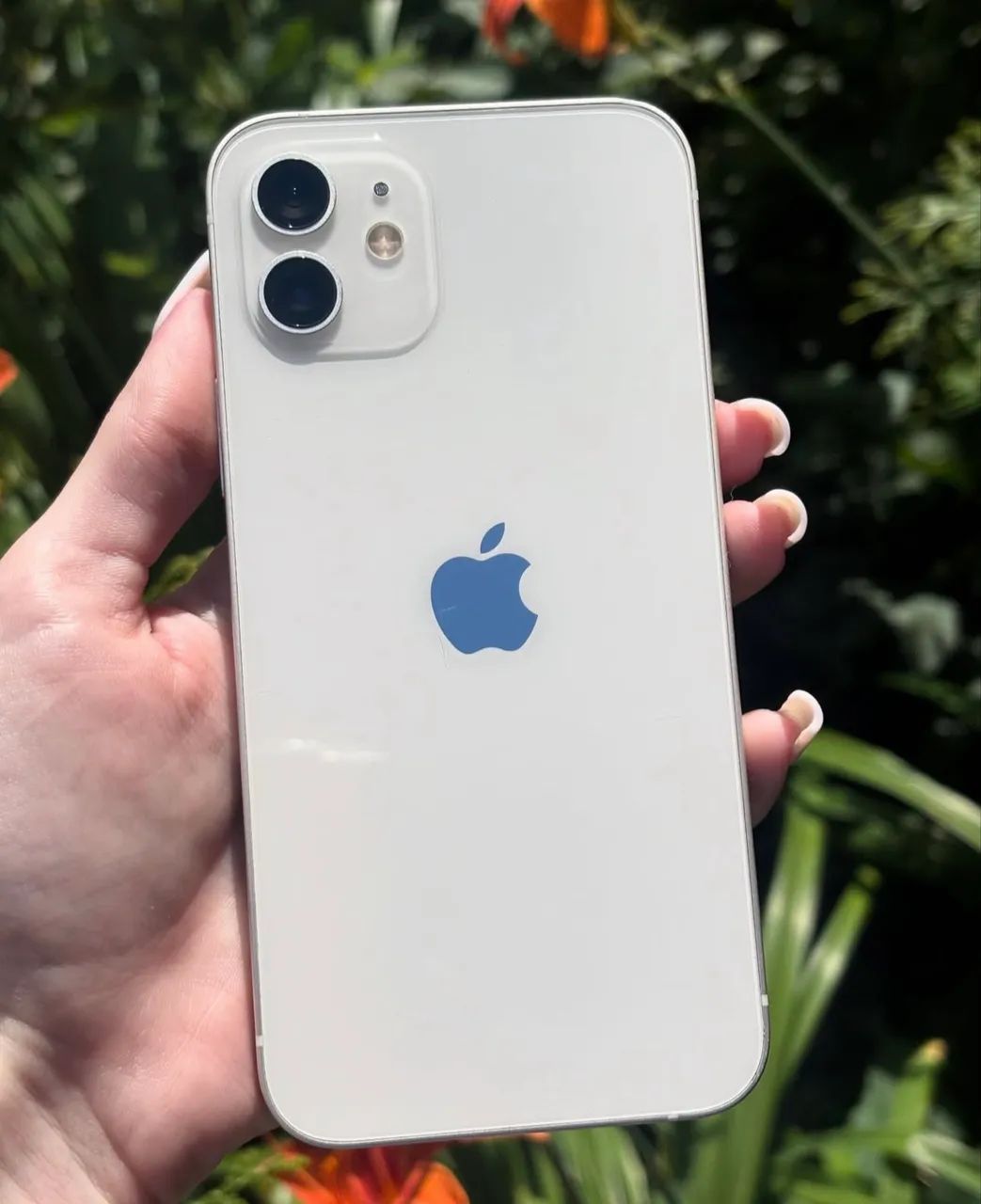 iPhone 12 64gb Branco - Celulares e Smartphones - Nova Floresta