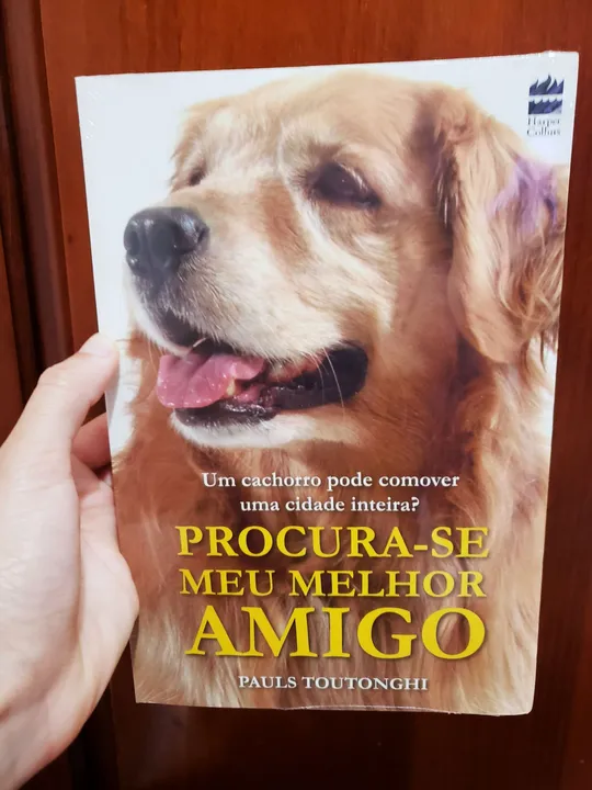 Procura-se Meu Melhor Amigo - Livro Capa Dura