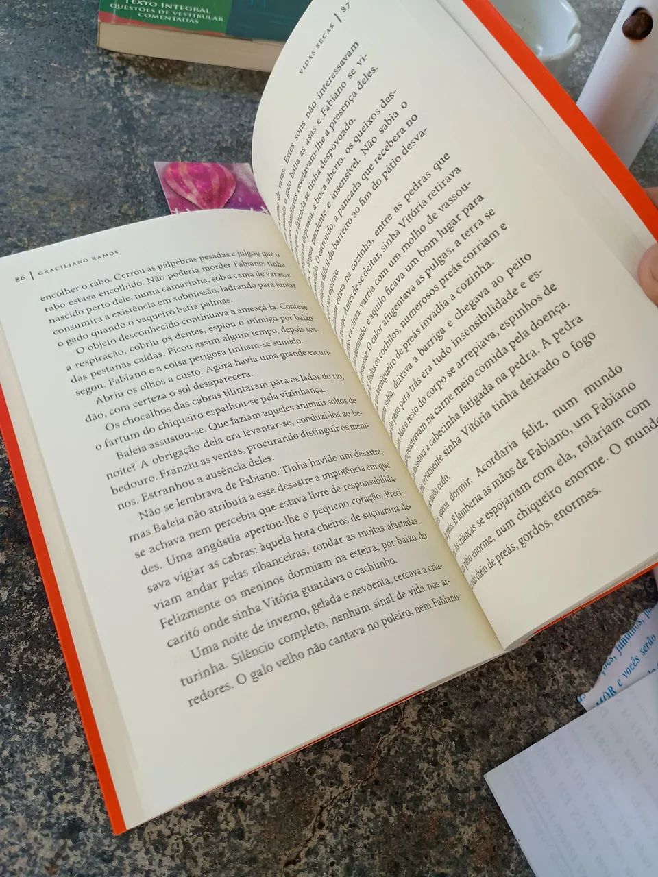 Livro vidas secas de Graciliano Ramos  - Foto 2