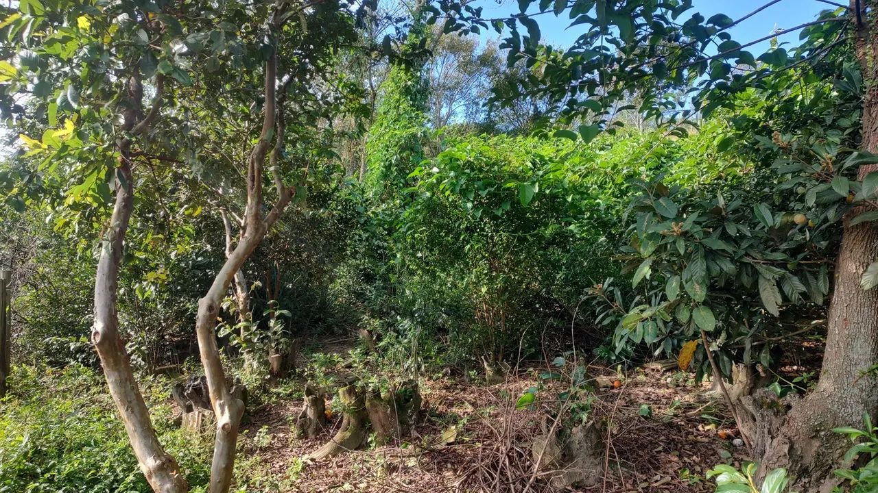 Venda ou troca  - Foto 5