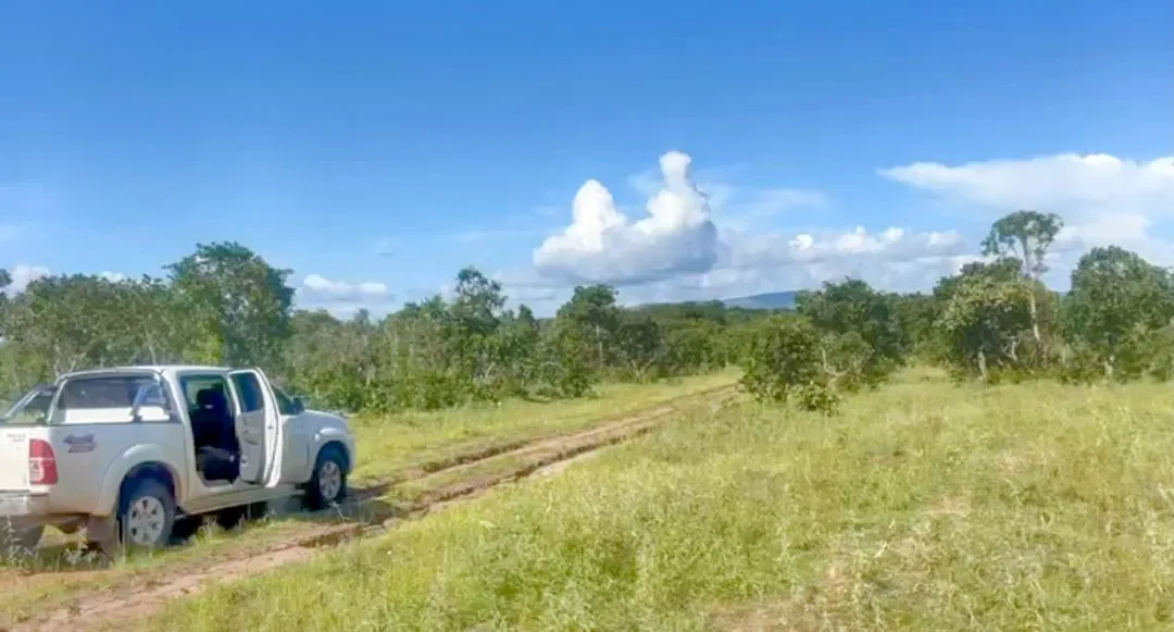Fazenda 1000 Alqueires - Oportunidade!!!