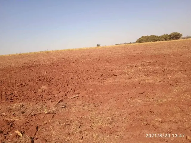 VENDO- Sitio de 22,22 hectares com terra de cultura