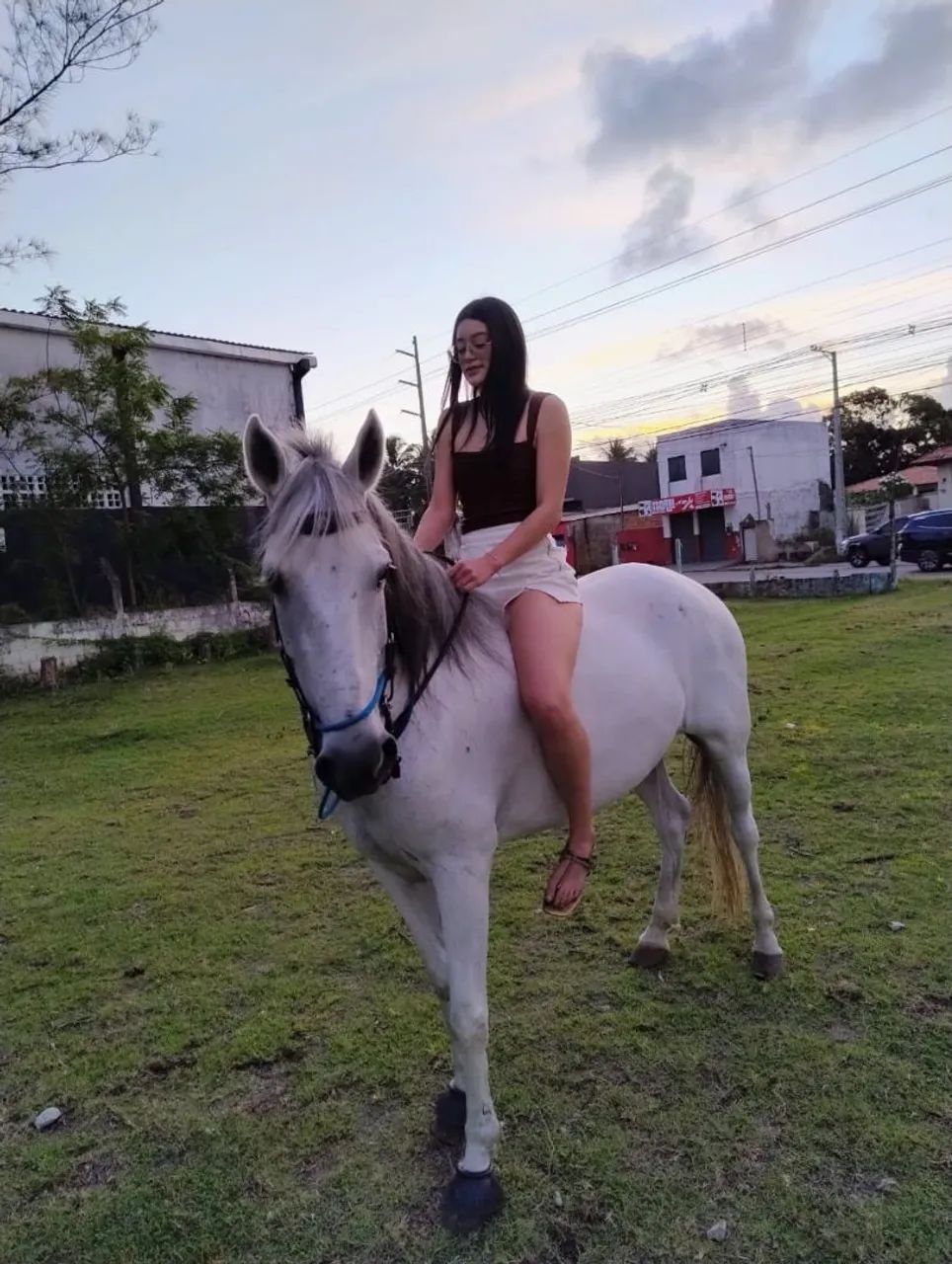 Égua de picado puro de MM com puro de QM - Foto 5