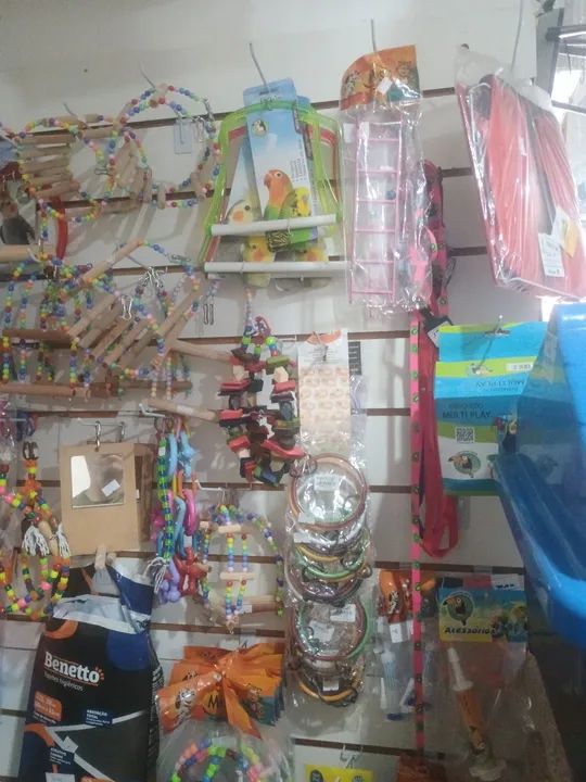 Brinquedos para Calopsitas OFERTA - Foto 3