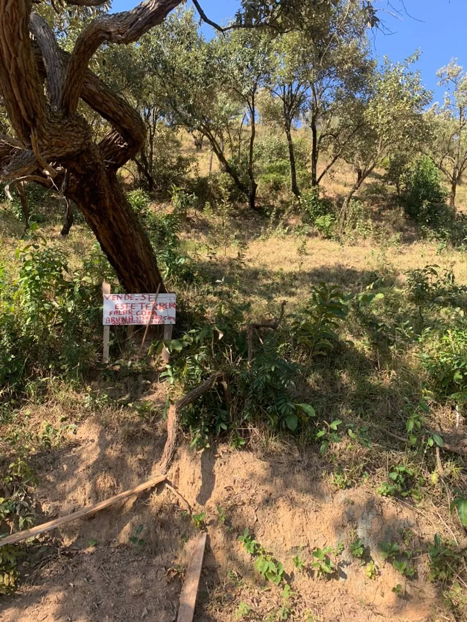 Terreno 5x25 em Pirapora