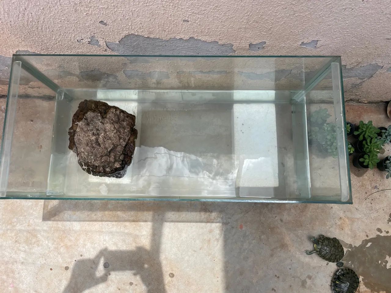 Aquário 80x50x40 - Foto 2