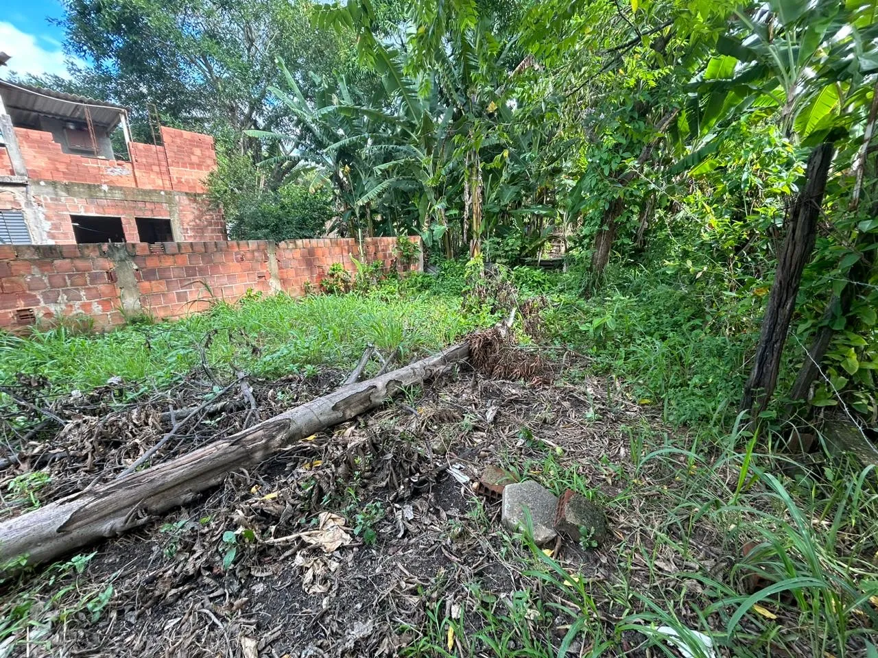 Vendo terreno no bairro cantão