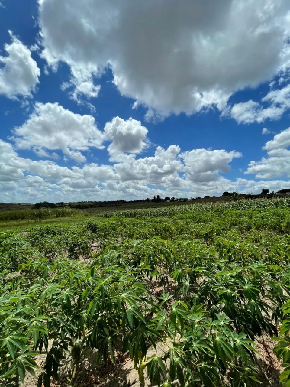 Foto - João Pessoa - Cristo Redentor