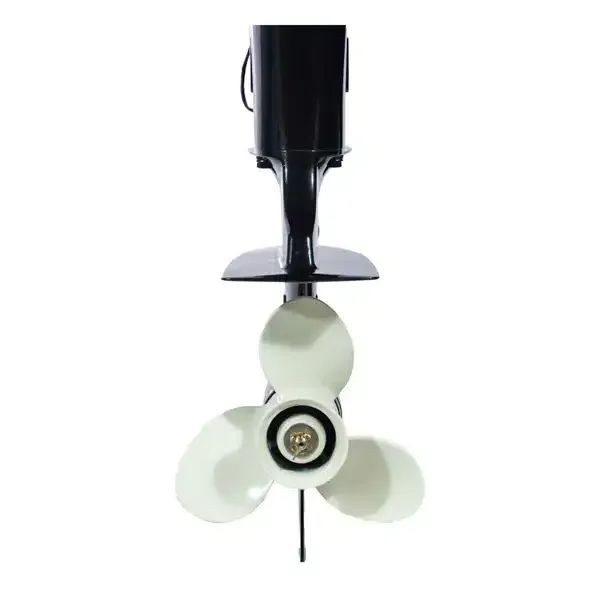 Motor de Popa a Gasolina 15 hp 2 Tempos TM15TS - Foto 4