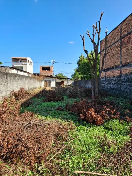 Terreno 520m2, Rua Principal, plano, murado, fácil acesso BR 324, Av. 29 març.  - Foto 3