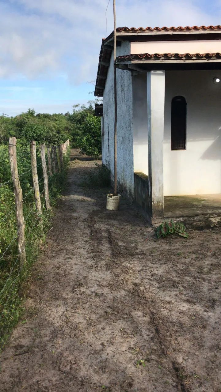 Foto - Irará - 