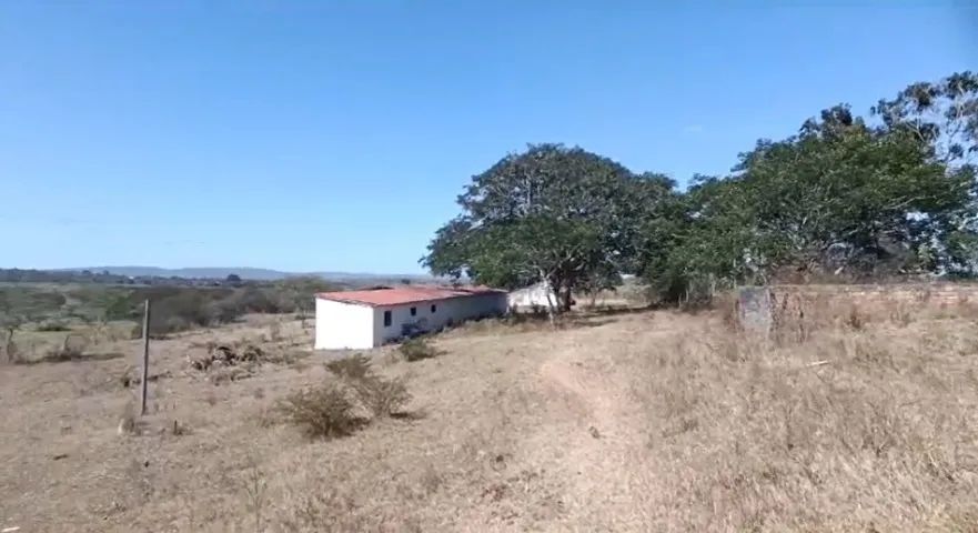 Fazenda em Garanhuns/PE à Venda (FA0134-PV) - Foto 5