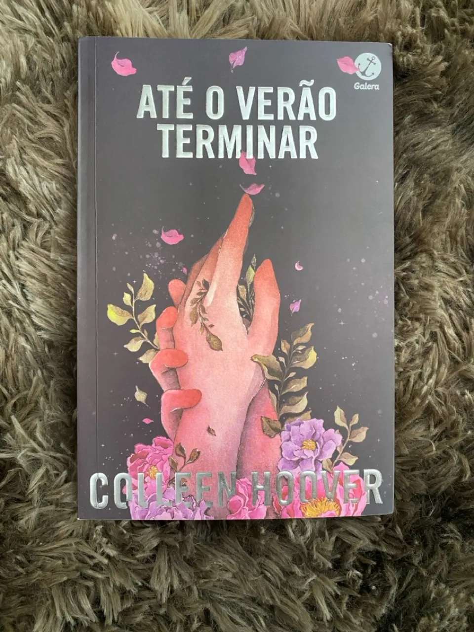 Livro Até o Verão terminar