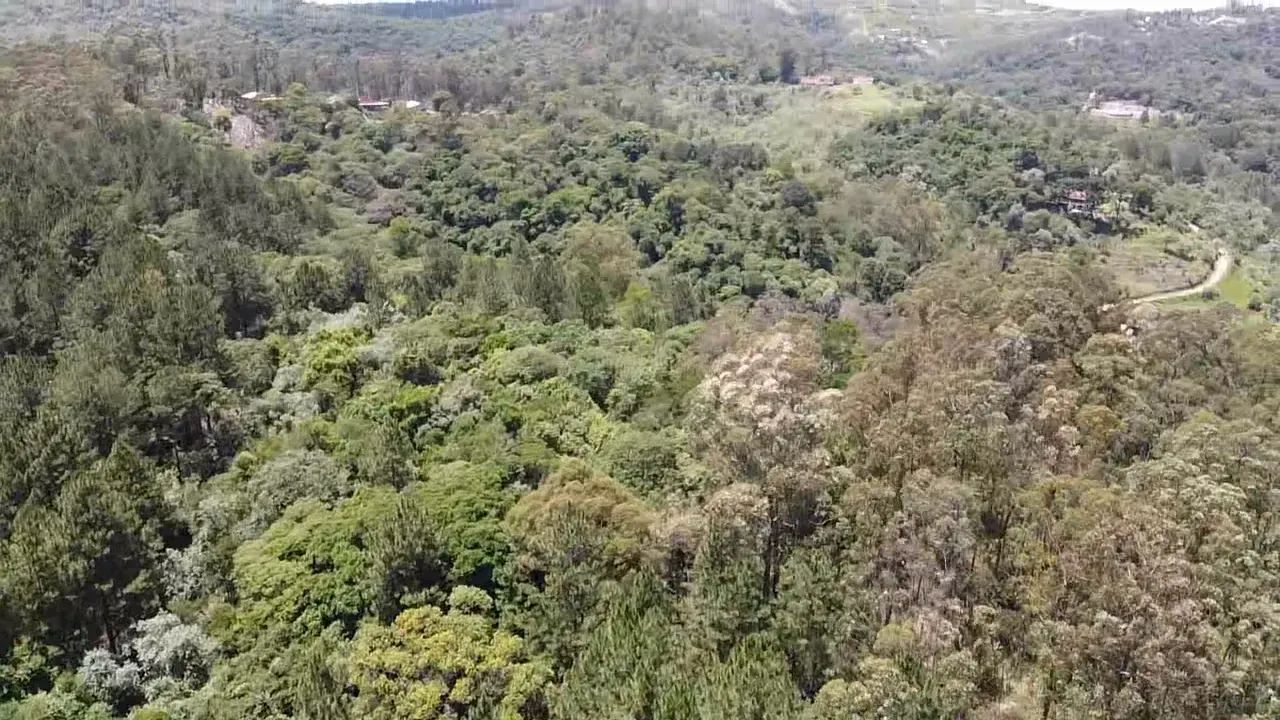 Terreno de 1000m² em São Roque  Seu Refúgio na Natureza com Estrutura Completa! - Foto 6