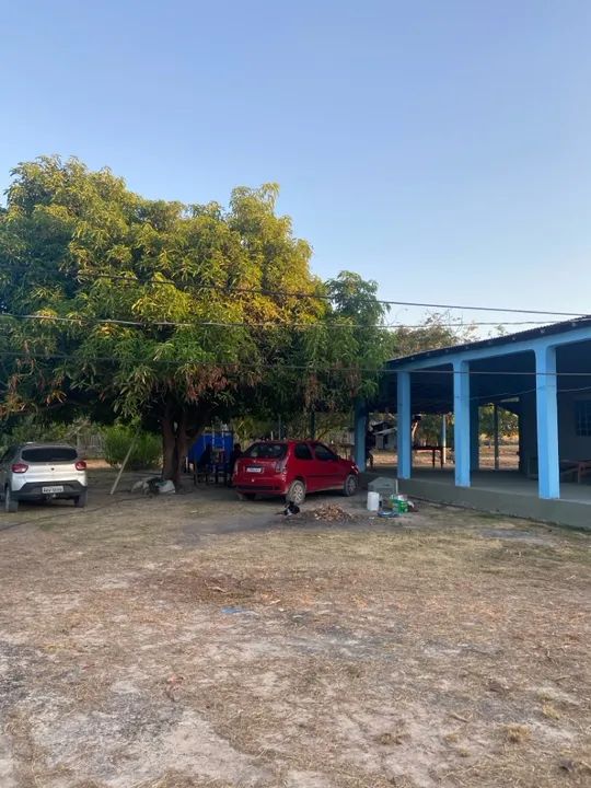 Sítio com casa, igarapé próprio e açude no Bom Intento - Foto 4