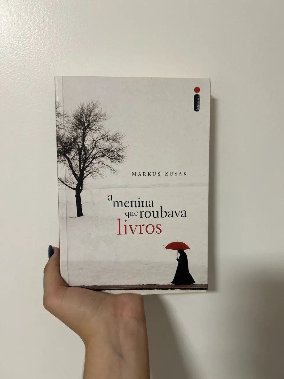 A menina que roubava livros 