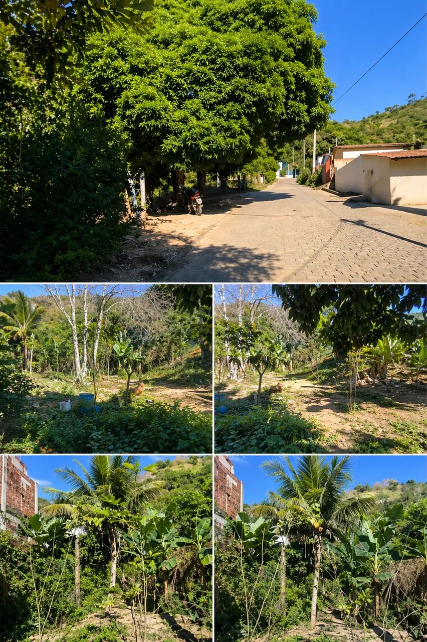  OPORTUNIDADE DE 6 LOTES EM ECOPORANGA  - Foto 3