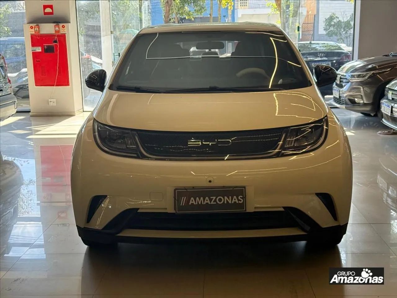 BYD Dolphin 2024