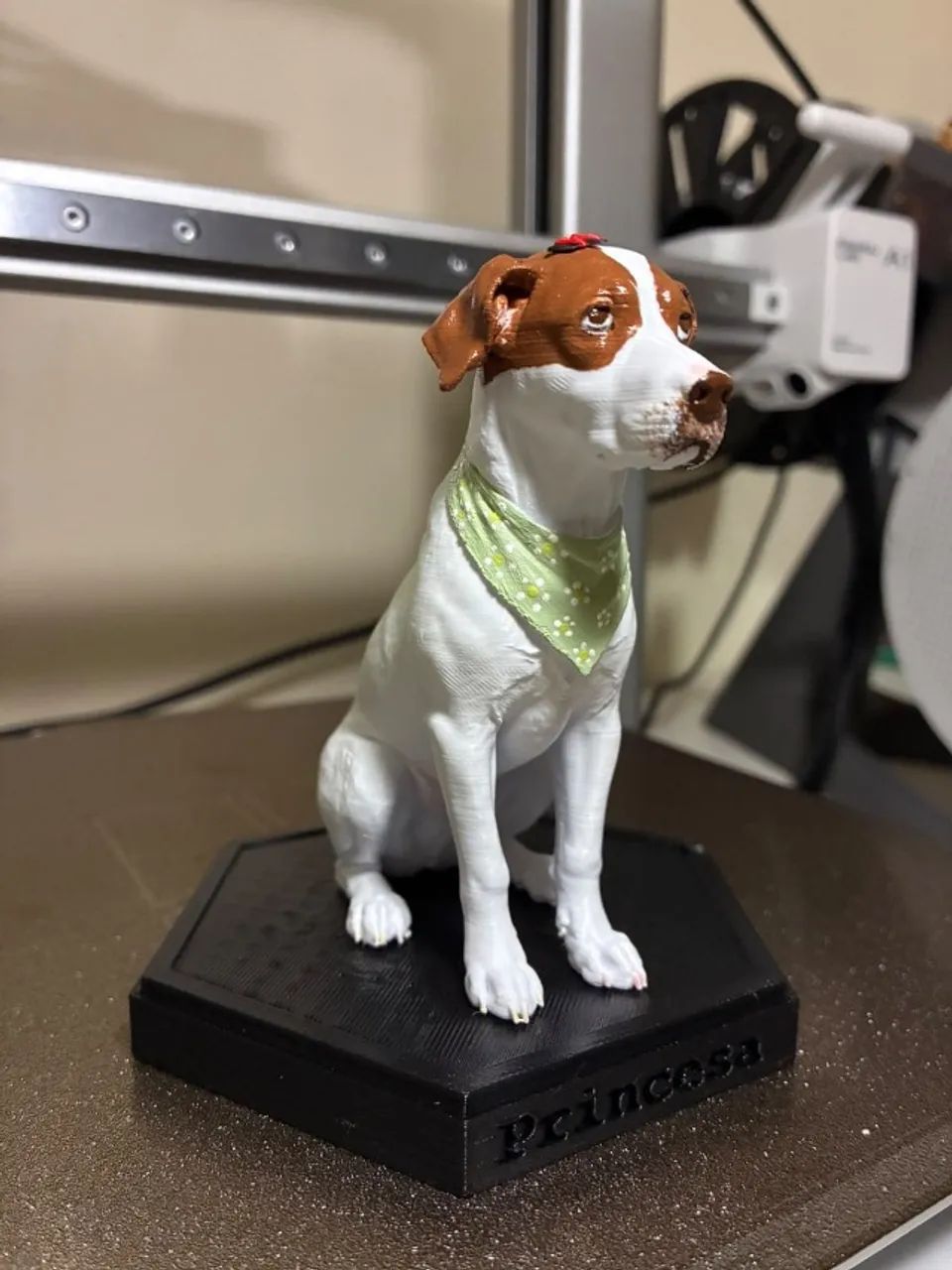 Miniatura Pet - Foto 4