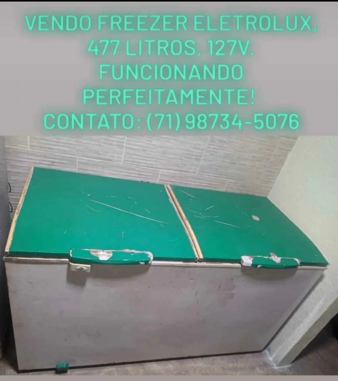 Freezer Horizontal 