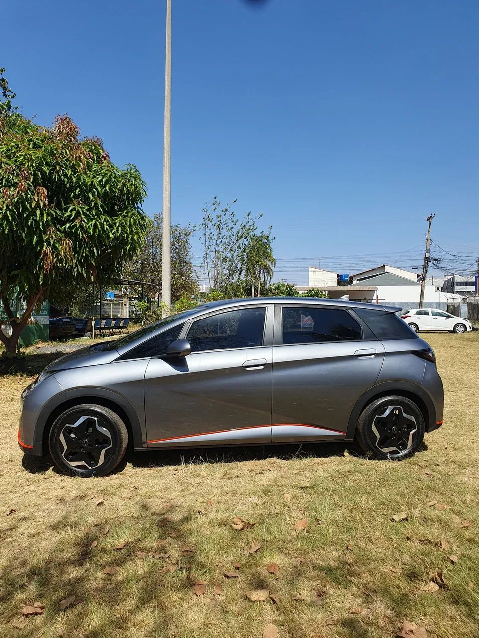 BYD Dolphin EV (Elétrico) 2024 - Foto 2