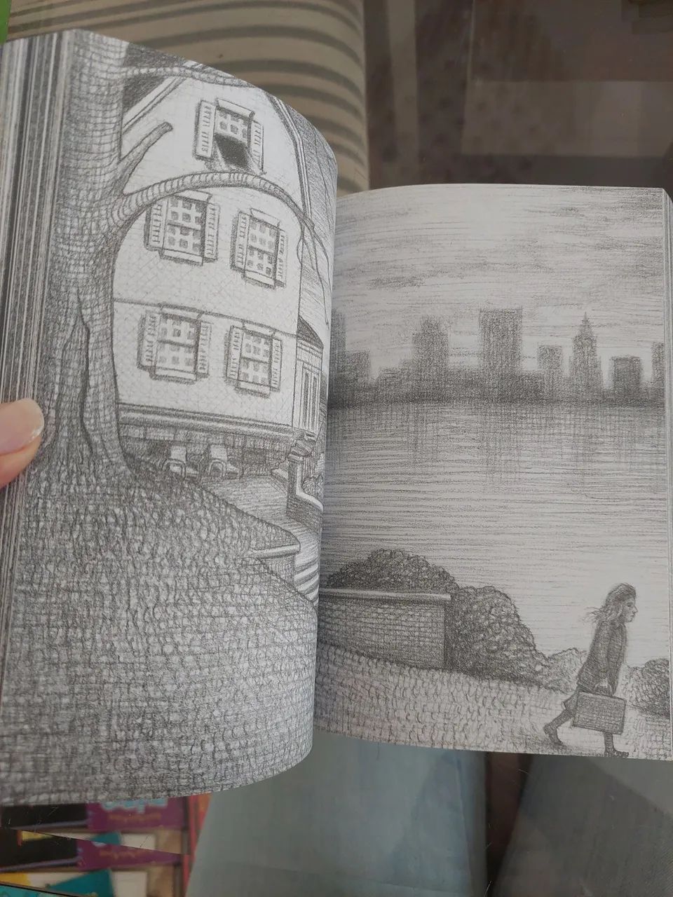 Livro Sem Fôlego Brian Selznick - Foto 2