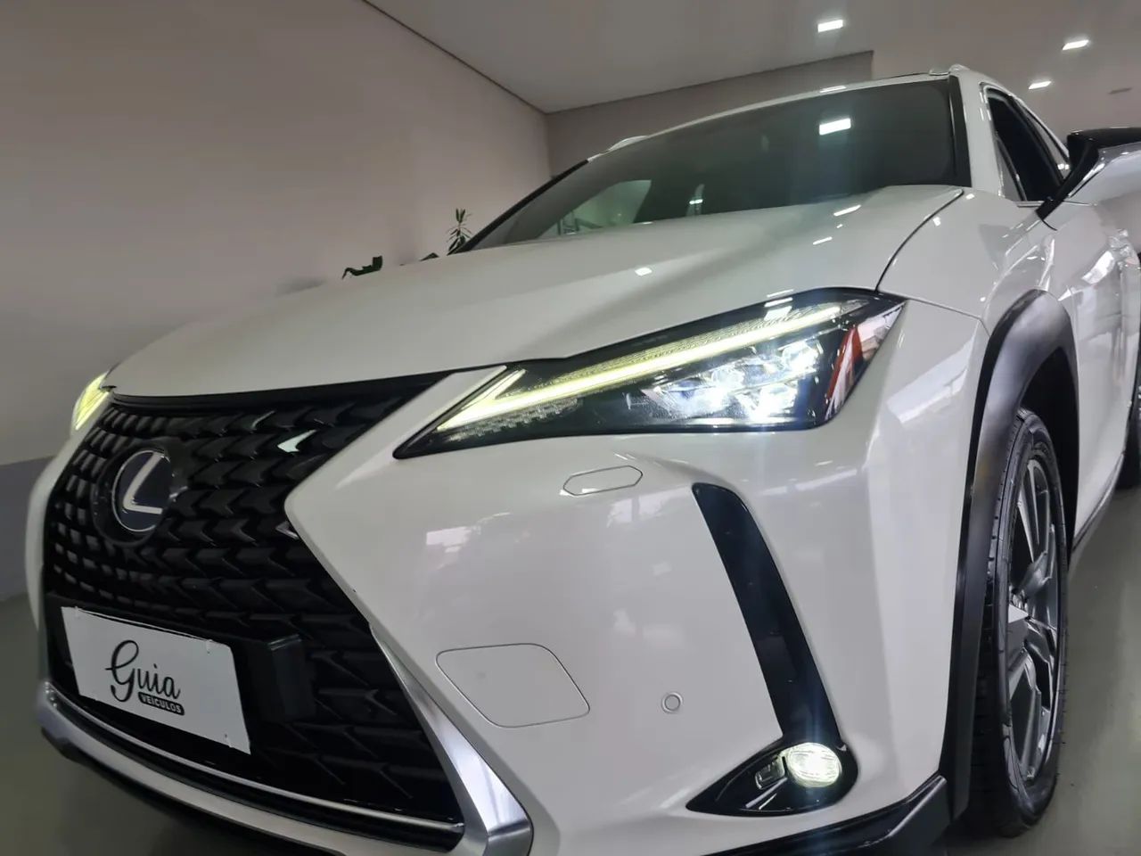Lexus UX-250h Luxury 2.0 16V Aut.(hybrid), foto 9 de 20