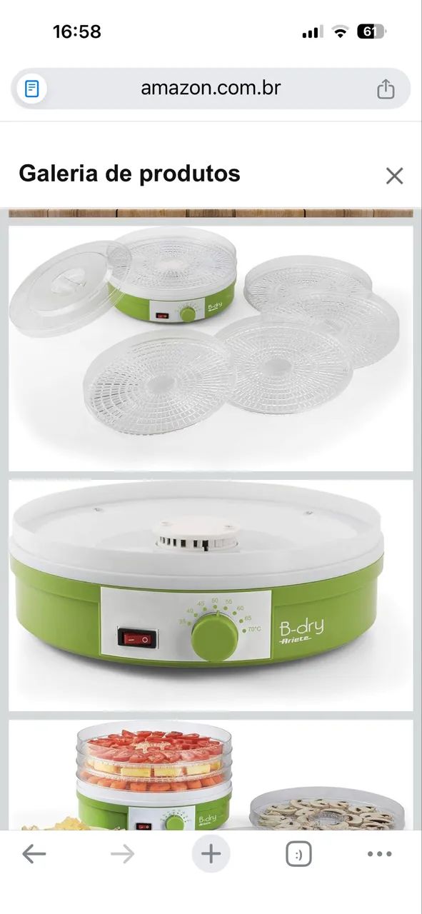 Desidratador de alimento