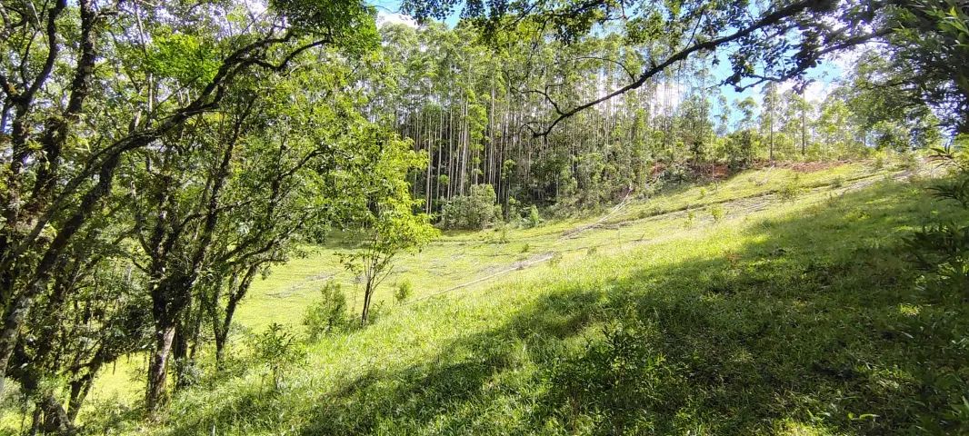 LINDA TERRENO PARA CHACARA 2 HECTARES EM ANITAPOLIS! ESCRITURADA E REGISTRADA. - Foto 4