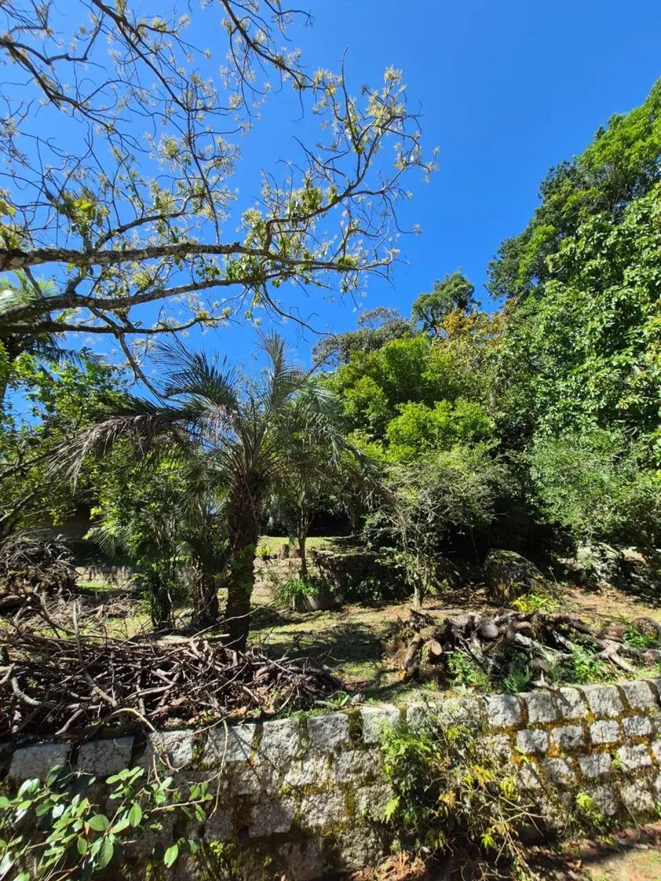Imóvel para venda possui 2000 metros quadrados em Sambaqui - Florianópolis - SC - Foto 4